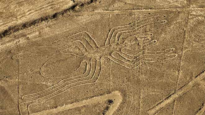 The Spider - Nazca Lines