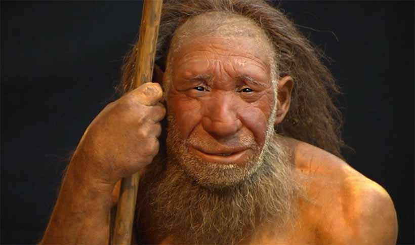 Neanderthal