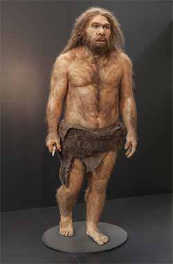 Why Did Neanderthals Go Extinct Some Years Ago 28152 The Best Porn