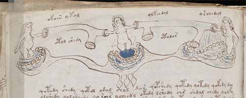 Voynich Manuscript - Balneological